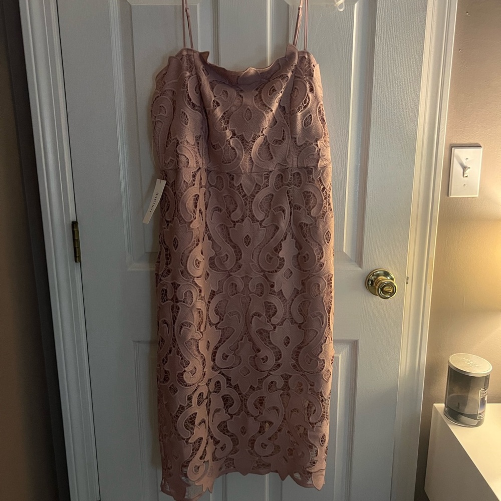 Bardot Blush Pink Lace Midi Dress – Size 10– NWT